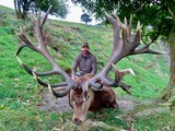 Red Stag & Fallow Buck combination hunt
- 1 of 15