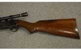 Winchester slide action repeating Rifle model 61
.22 Cal. - 7 of 9