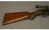 Winchester slide action repeating Rifle model 61
.22 Cal. - 5 of 9