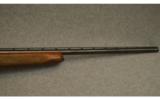 Winchester 50 12 GA. Shotgun. - 8 of 9