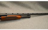Winchester Model 12 12Ga shotgun - 8 of 9
