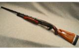 Winchester Model 12 12Ga shotgun - 9 of 9