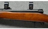 Winchester ~ 70 ~ .300 H&H Magnum - 7 of 9