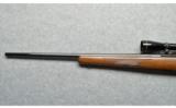 Sturm Ruger ~ M 77 ~ 6MM Remington - 6 of 9