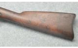 Springfield Armory ~ 1873 ~ .45-70 Govt. - 9 of 9