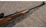 Winchester ~ 70 ~ .375 H&H - 6 of 9
