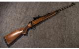 Winchester ~ 70 ~ .375 H&H - 1 of 9