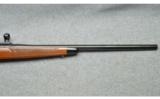 Remington ~ 700 ~ .22-250 Rem. - 4 of 9