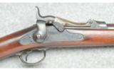 Springfield Armory ~ Model 1873 Trapdoor ~ .45-70 - 9 of 9