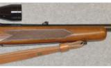 Winchester ~ Model 88 ~ .243 WIN - 4 of 9
