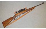 Winchester ~ Model 88 ~ .243 WIN - 1 of 9