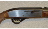 Remington ~ Nylon 66 ~ .22 LR - 3 of 12