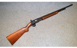 Remington ~ The Fieldmaster ~ .22LR - 1 of 12
