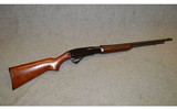 Remington ~ 572 Fieldmaster ~ .22 S/L/LR - 1 of 12
