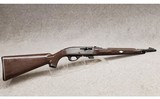 remingtonmohawk 10c.22 lr