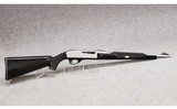 Remington ~ Nylon 66 Apache ~ .22 LR - 1 of 12