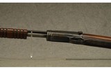Winchester ~ 1906 ~ .22 LR - 5 of 12