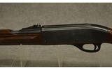 Remington ~ Nylon 66 ~ .22 LR - 7 of 12