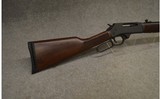 Henry ~ Big Boy ~ .30-30 Winchester - 2 of 12