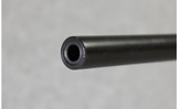 Remington ~ 700 ~ .300 Winchester Magnum - 12 of 12