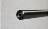 CZ ~ 455 ~ .22 WMR - 12 of 12