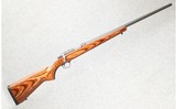Ruger ~ All-Weather 77/22 ~ .22 WMR