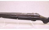 Tikka ~ T1X ~ .17HMR - 10 of 12