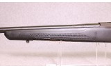 Tikka ~ T1X ~ .17HMR - 6 of 12