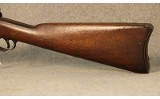 Springfield ~ Model 1884 ~ .45-70 Government - 8 of 12