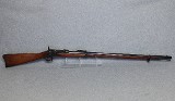 Springfield ~ Model 1878 ~ .45-70 Government - 1 of 10