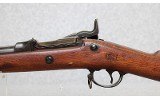 Springfield ~ Model 1878 ~ .45-70 Government - 8 of 10