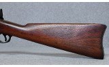 Springfield ~ Model 1878 ~ .45-70 Government - 9 of 10