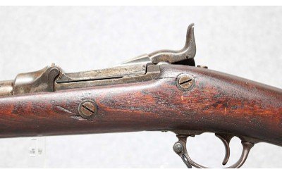 Springfield ~ Model 1873 ~ 45-70 Government - Image 8 of 10