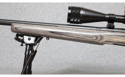 Savage ~ B-Mag ~ .17 Winchester Super Magnum - Image 6 of 10