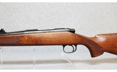 Remington ~ Model 700 ~ .243 Winchester - Image 8 of 10