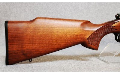 Remington ~ Model 700 ~ .243 Winchester - Image 9 of 10