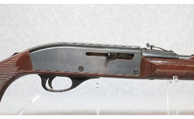 Remington ~ Nylon 66 ~ .22 Long Rifle - Image 3 of 10