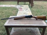 1967 Browning Auto 5 “Light Twelve” 12 Gauge 24.5” Barrel Improved Cylinder. - 11 of 13