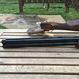 Tempio Light Field 12 Gauge 26" & 28" Barrels With English Stock. - 6 of 15