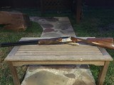 Tempio Light Field 12 Gauge 26" & 28" Barrels With English Stock. - 11 of 15