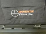 Bushmaster Custom Sniper Rifle - 6 of 13