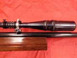 winchester 52D - 12 of 16