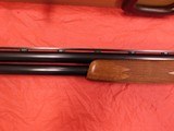 ruger red lable - 4 of 20