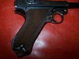 LUGER mfg by DMW, WW1 dated 1915, 98-99% finish with great straw colored parts - 4 of 14