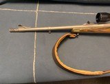 RUGER HAWKEYE M77 - 300 WIN MAG.TARGET GREY ALL WEATHER STAINLESS STEEL - 5 of 14