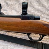 Ruger M77RSI Tang Safety 250-SAVAGE - 12 of 15