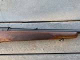 Pre-64 Winchester Model 70 .243 - 12 of 16