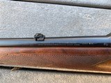 Pre-64 Winchester Model 70 .243 - 5 of 16