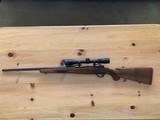 Ruger M77
7x57 - 2 of 15