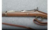 Springfield 1884 Rifle - .45-70 Cal. - 5 of 9